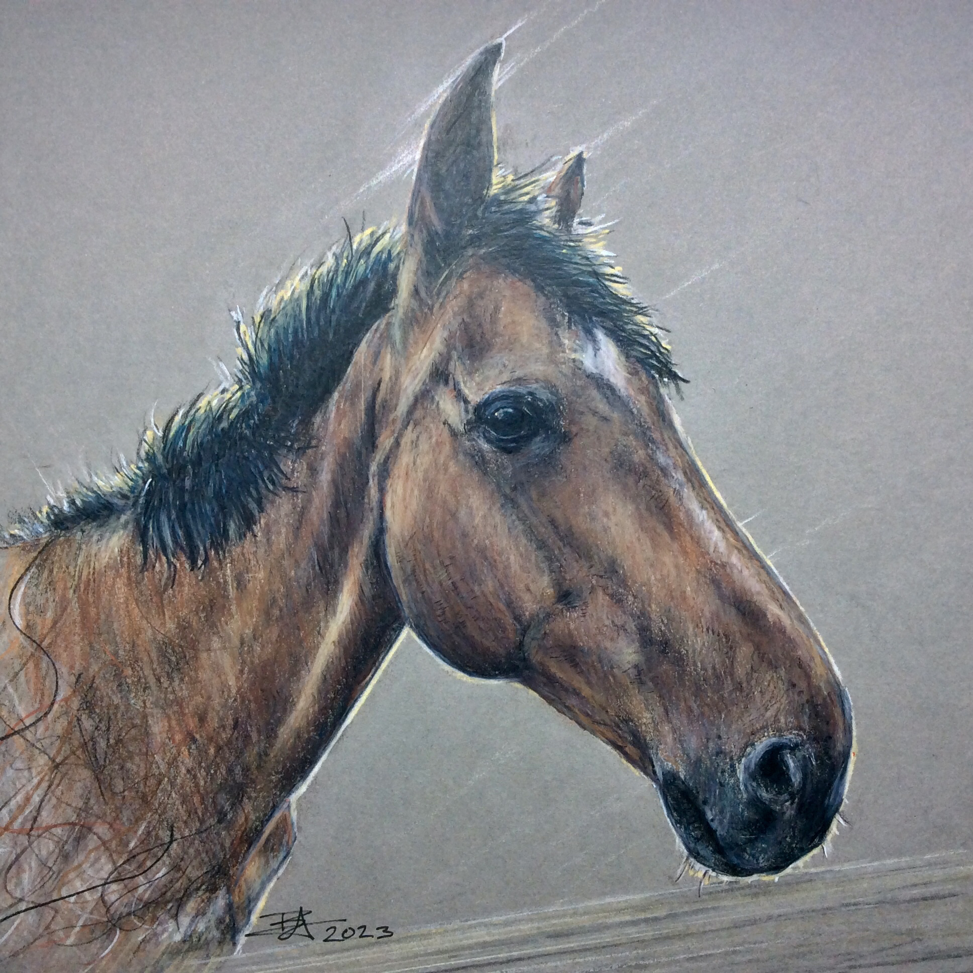 Derwent Drawing Pencil